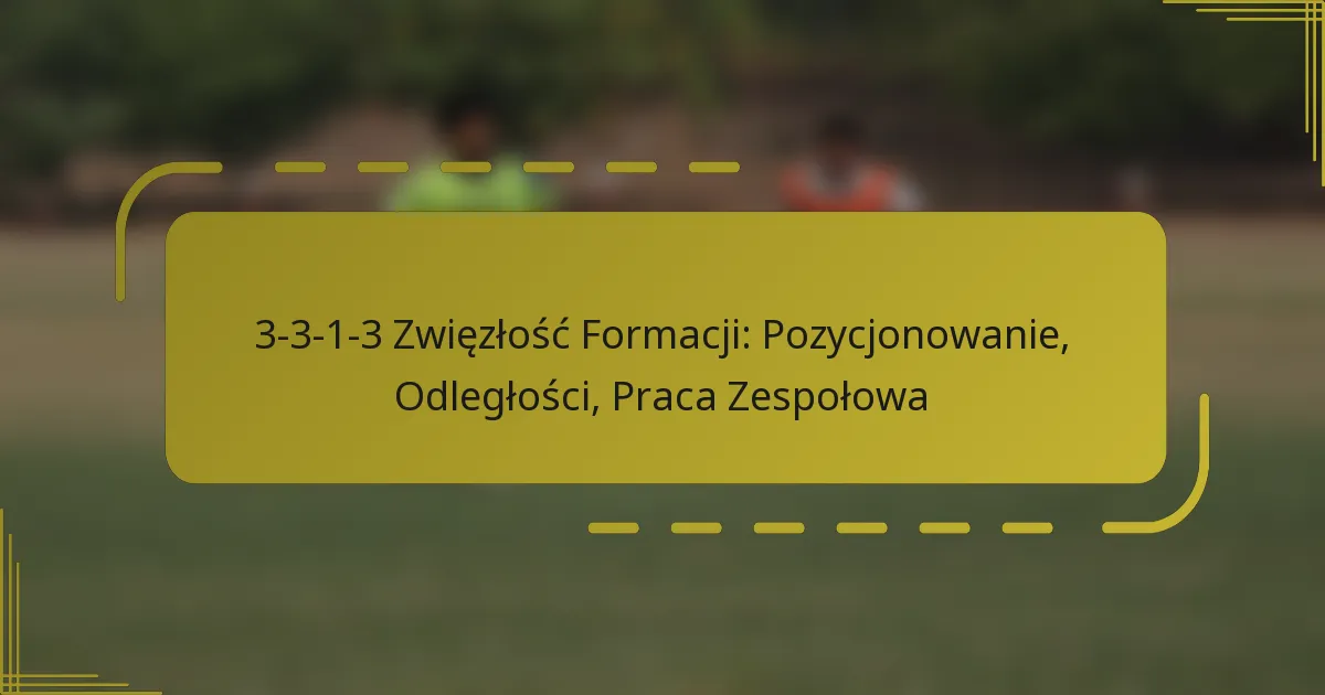 3-3-1-3 Zwięzłość Formacji: Pozycjonowanie, Odległości, Praca Zespołowa